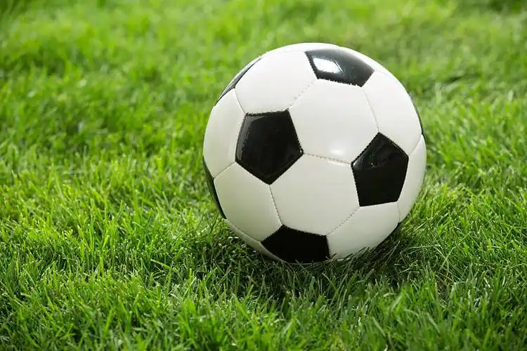 红单足球公众号用户社区